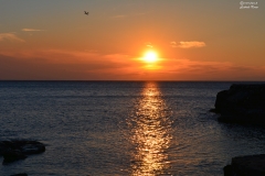 Febbraio